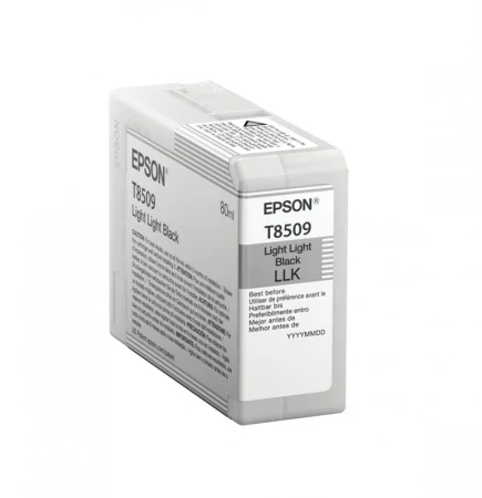 Singlepack Light Light Black T850900 UltraChrome HD ink 80ml SC-P800