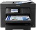 c7Ev6Xcg