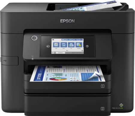 c796xn5Z