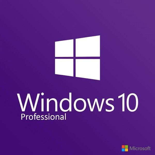 windows_10_Professional