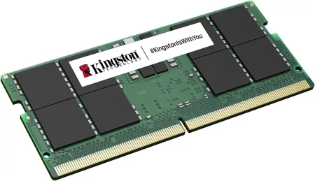 61xPr6VLBfL._AC_SL1500_