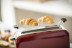 21391-56 RH Colours Plus Toaster Long_4_395613