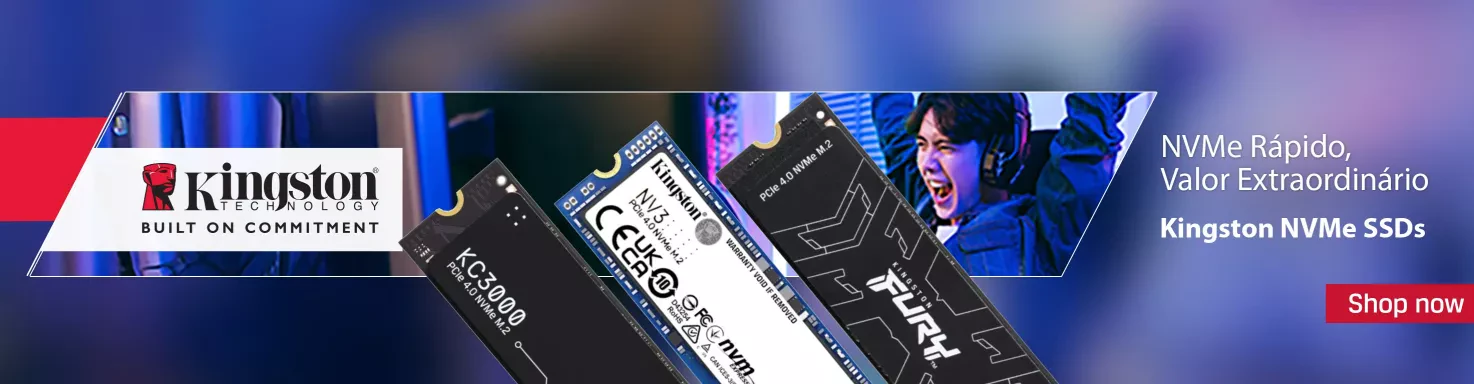 Banner Kingston SSDs