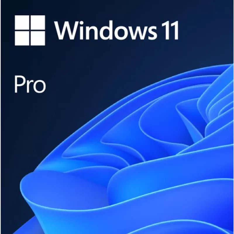 Windows 11 Pro GGK 64Bit Portuguese 1pk DSP ORT OEI DVD
