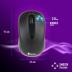 NGS_EUPHORIAKIT_05E (1)