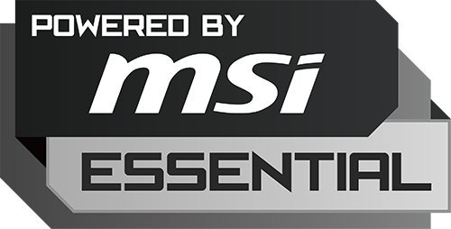 msi-gray (1)