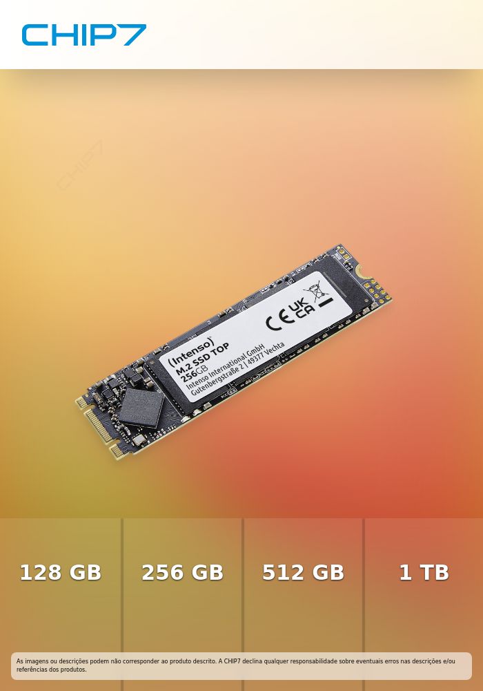 INTENSO SSD 256GB SATA III 2280 TOP M.2 550/500 MBs