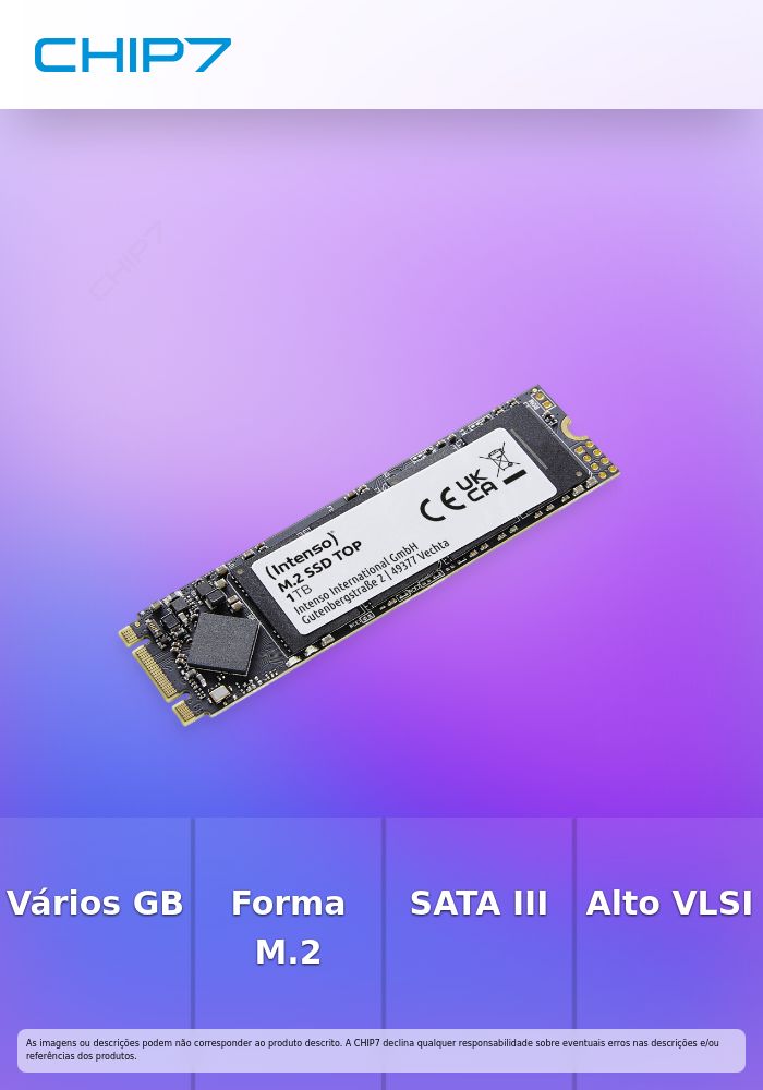 INTENSO SSD 1TB SATA III 2280 TOP M.2 550/500 MBs