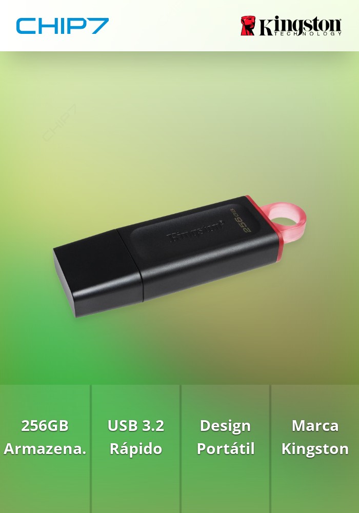 Pen Drive Kingston DataTraveler Exodia 256GB USB 3.2