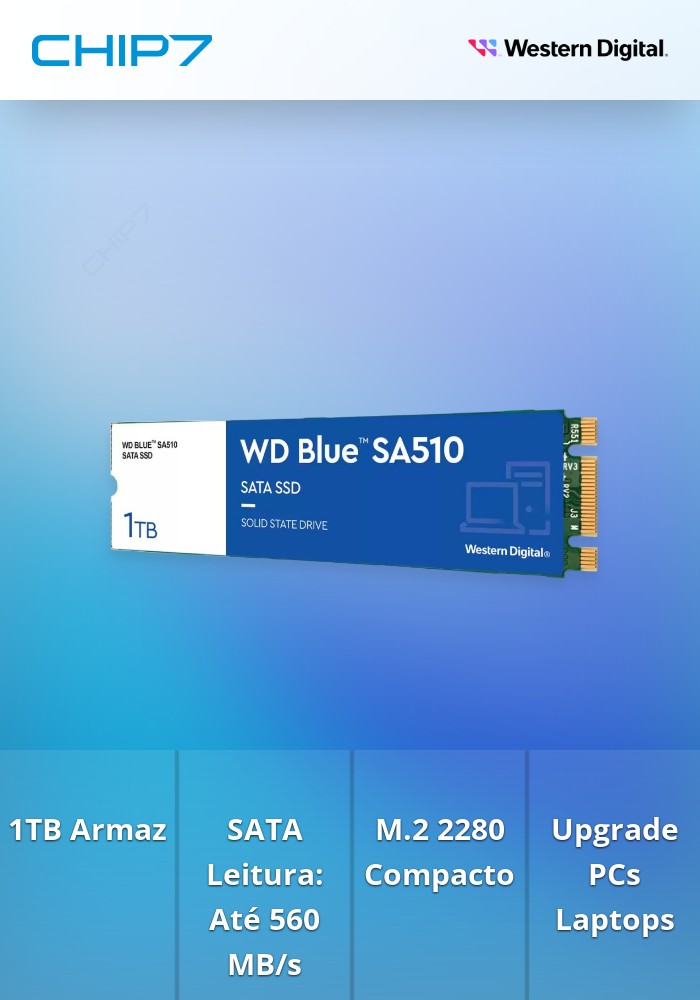 SSD M.2 2280 Western Digital Blue SA510 1TB SATA | CHIP7