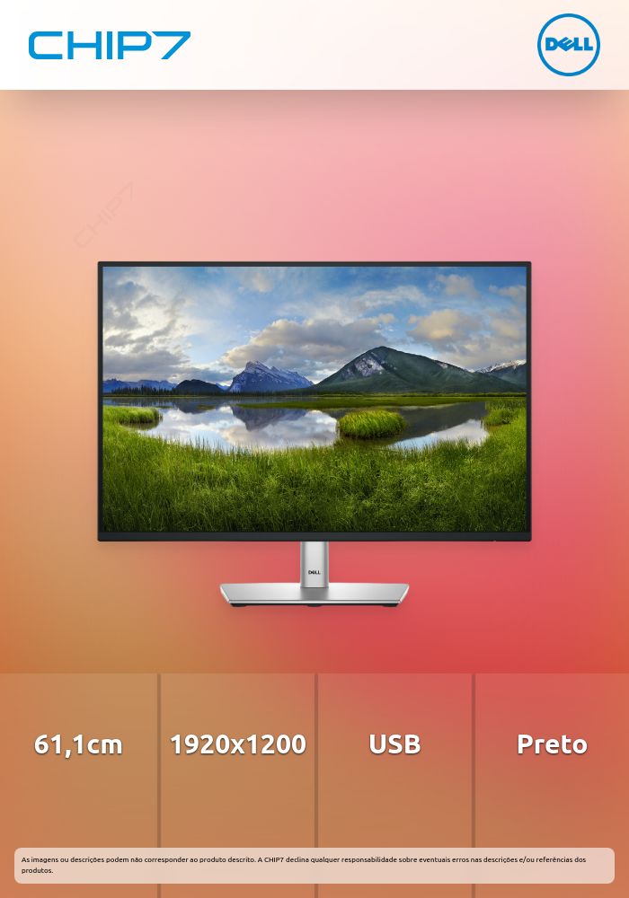 DELL MONITOR 24